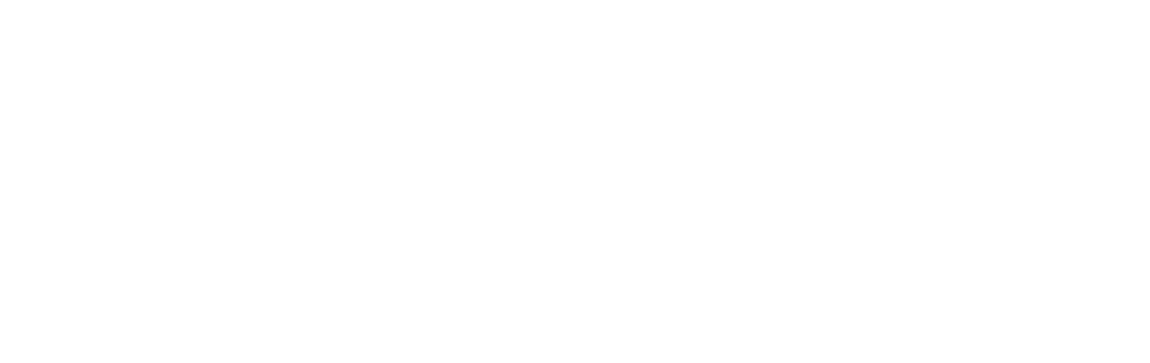 نشان دکتر نازلی نیساری